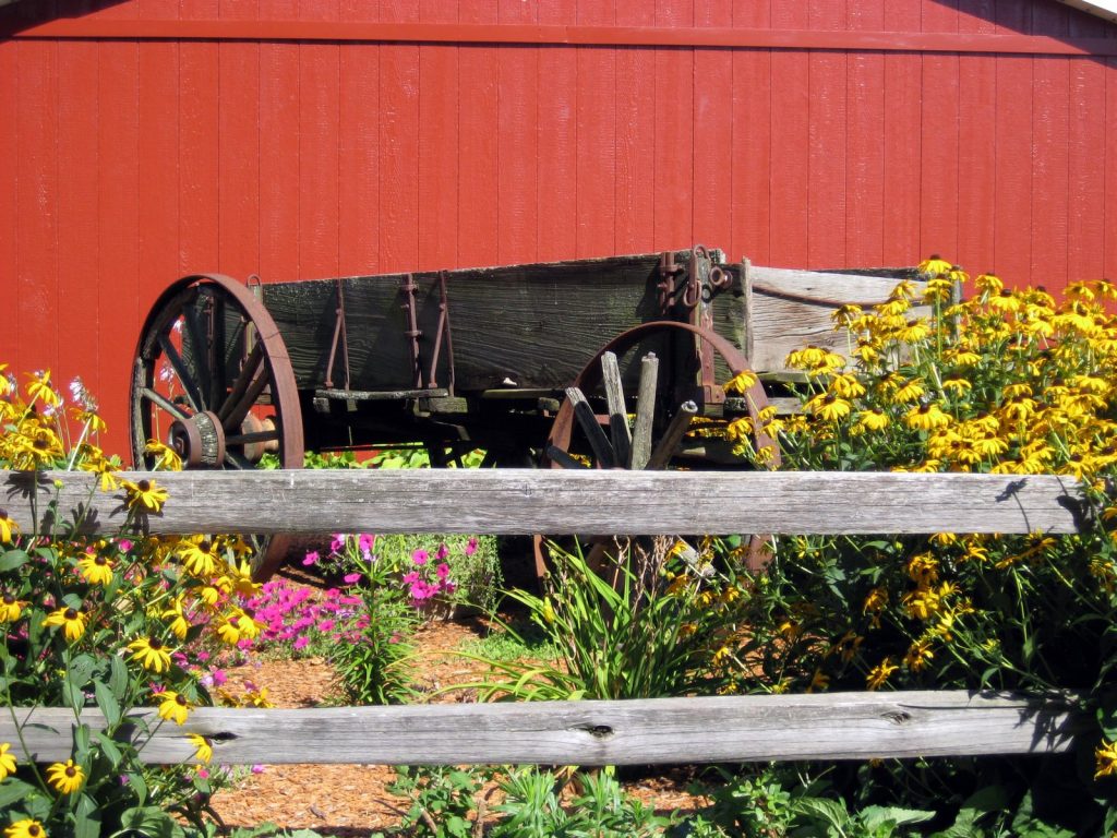 Wagon in garden