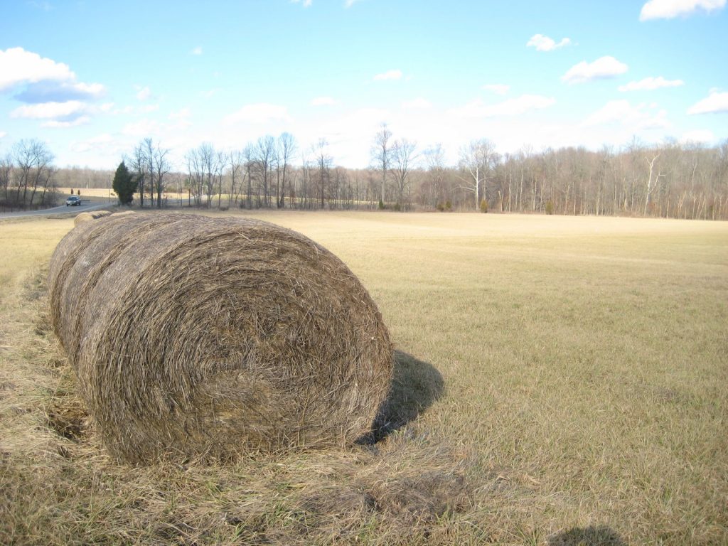 Hay rolls outside of Bloomington Indiana